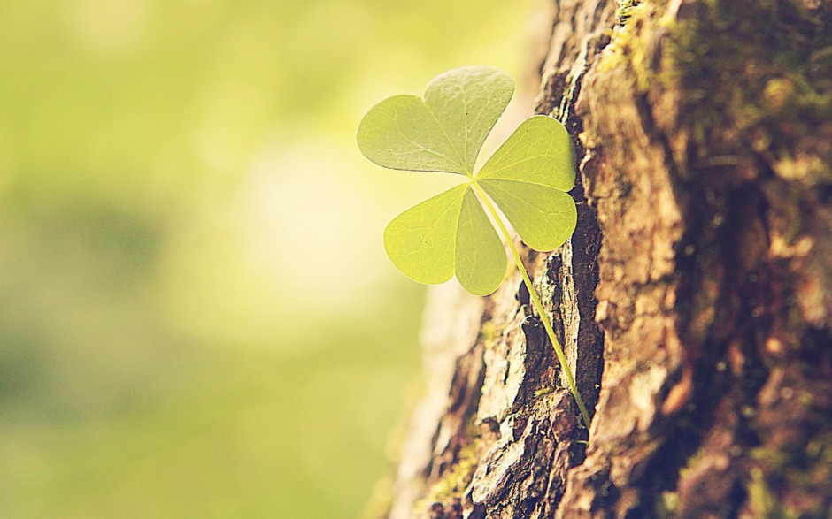 三叶草绿色护眼无水印壁纸