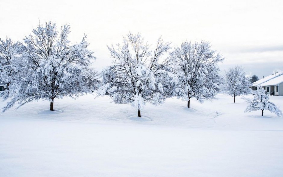 唯美大自然雪景风光电脑桌面壁纸