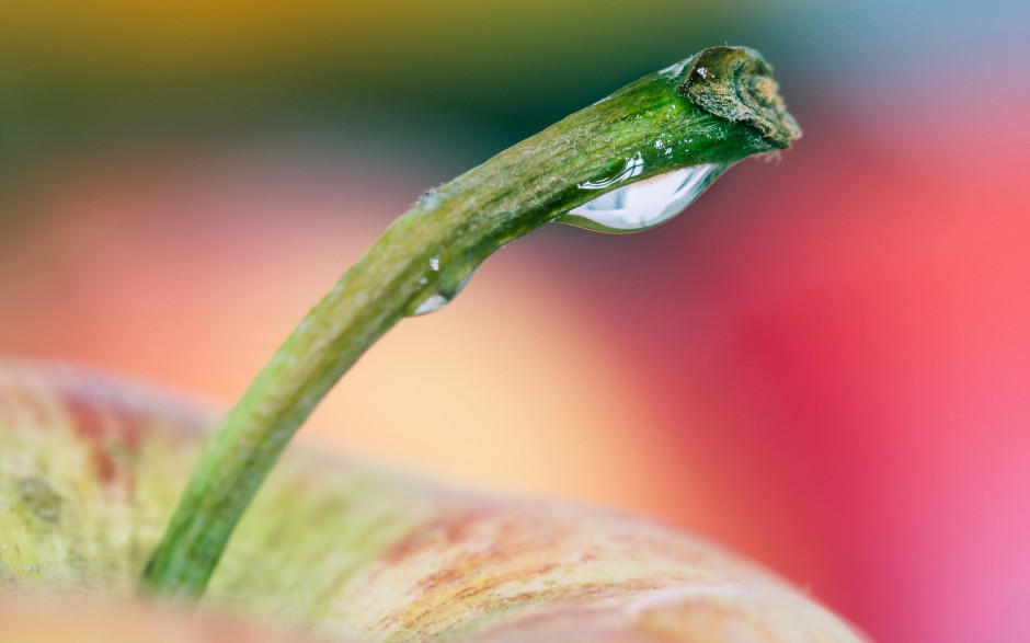 可口苹果清新水果唯美壁纸