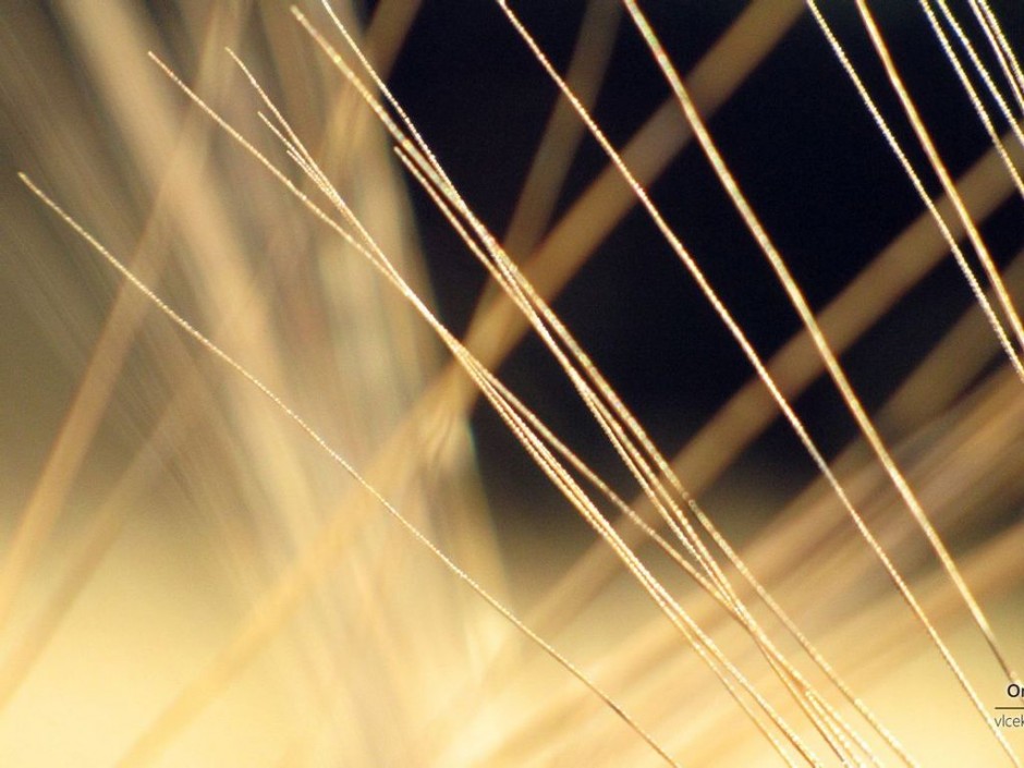 背景图片大全 小清新简约风格素材