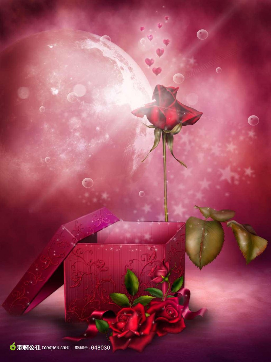 红玫瑰与礼物盒高清图片素材