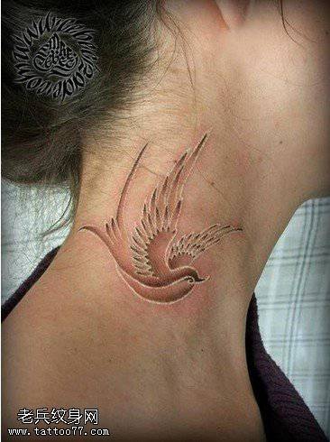 鸽子血燕子纹身图案女生颈部可爱纹身