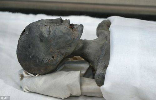 考古学家称或发现埃及法老图坦卡蒙生母之墓(3)