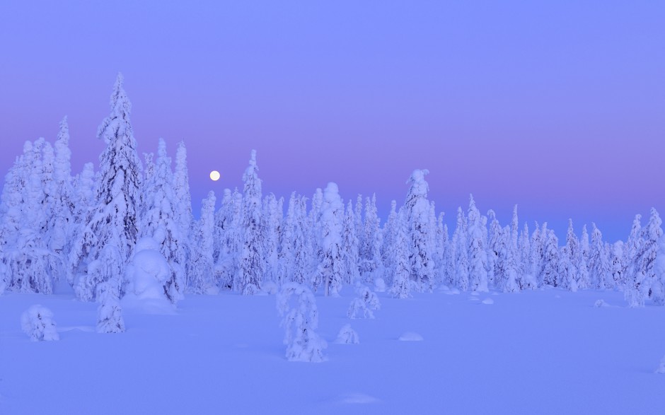 雪夜景色主题高清桌面壁纸