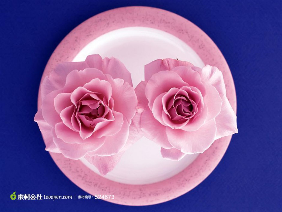 粉玫瑰高清唯美图片素材