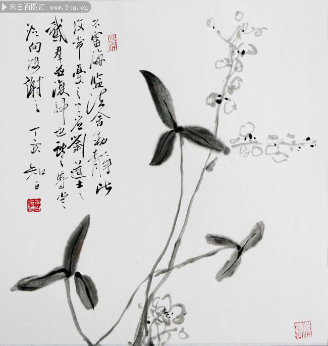 王知白植物花卉水墨画图片