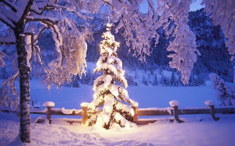 高清炫丽圣诞树唯美桌面壁纸