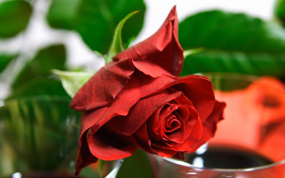高清永恒爱情玫瑰唯美壁纸