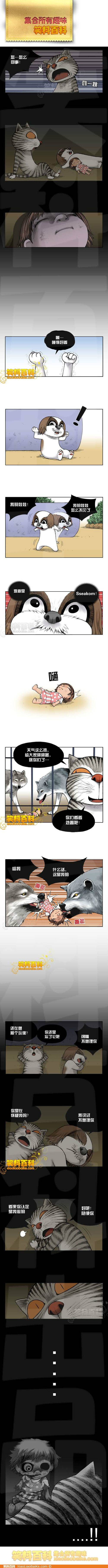 邪恶漫画爆笑囧图第283刊：没有情人的情人节