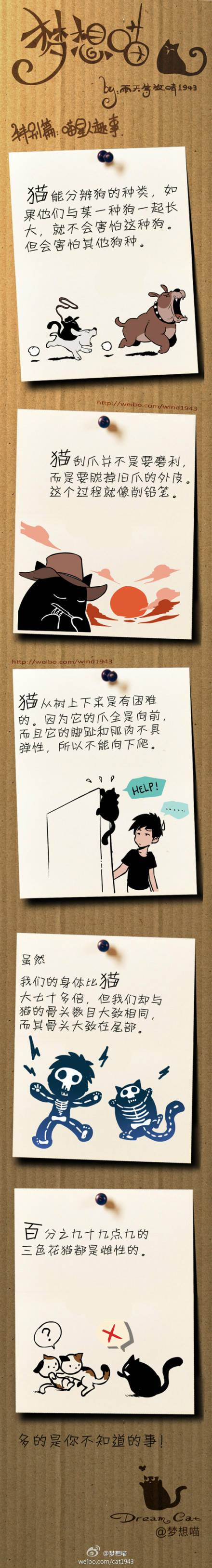 邪恶漫画爆笑囧图第324刊：变身