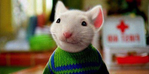 《精灵鼠小弟》将拍第4部 童年回忆回归