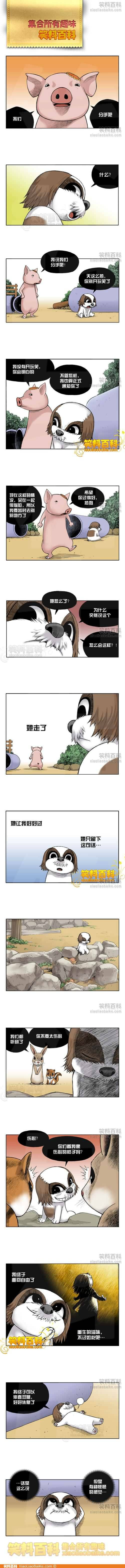 邪恶漫画爆笑囧图第279刊：搞笑的夫妻