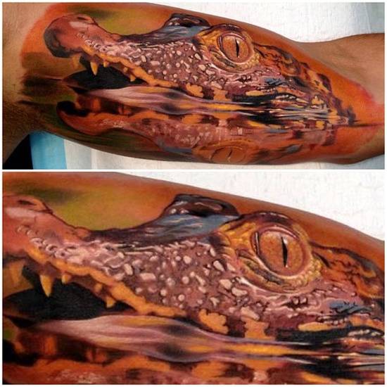 精选鲤鱼半甲纹身图案