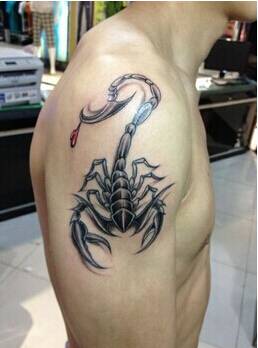 蝎子图腾手臂纹身图案霸气侧漏