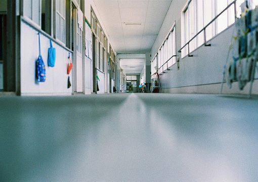 单车浪漫温馨带风景的图片