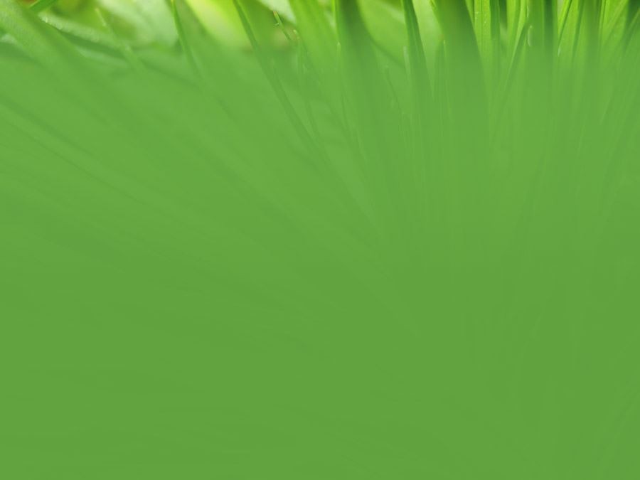 绿色环保幻灯片背景图片