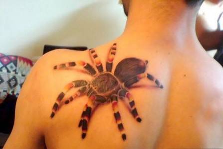 蜘蛛非主流纹身图片
