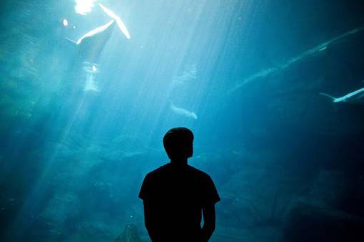 帅气非主流男生图片背影