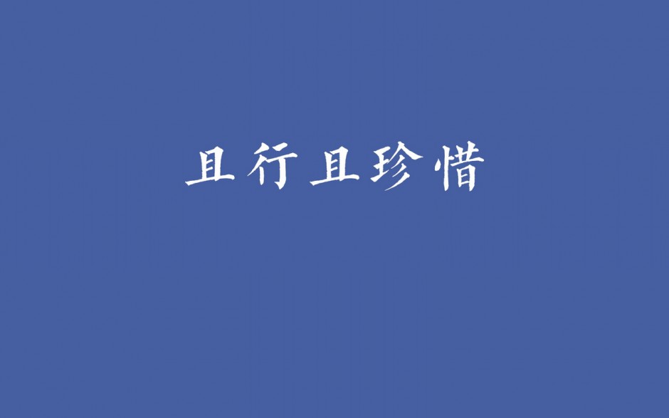 2015年网络热词精美文字壁纸