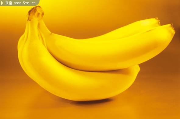 热带水果植物香蕉图片素材分享