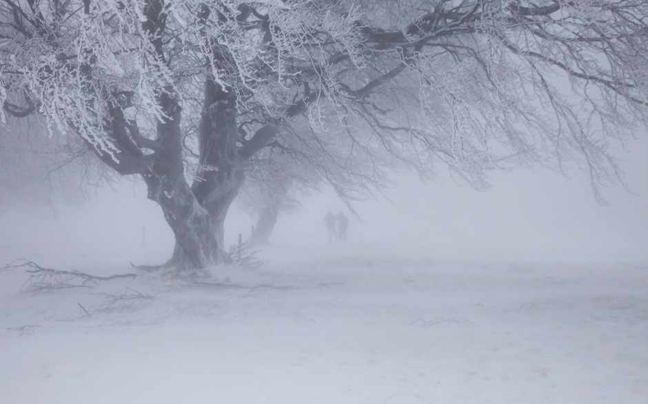 雪景主题小清新护眼电脑桌面壁纸