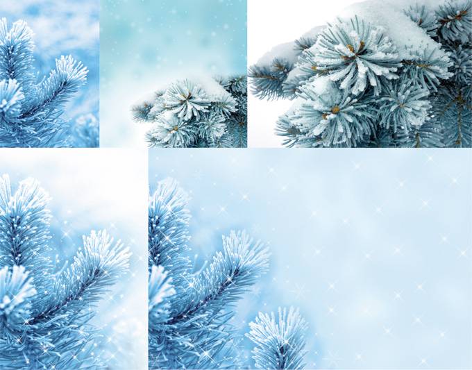 唯美的淡蓝色雪景高清背景图片