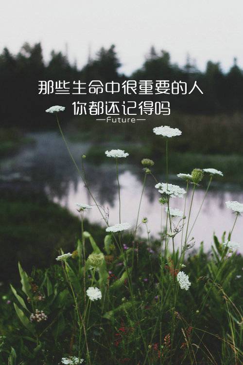 qq风景皮肤励志带字素材