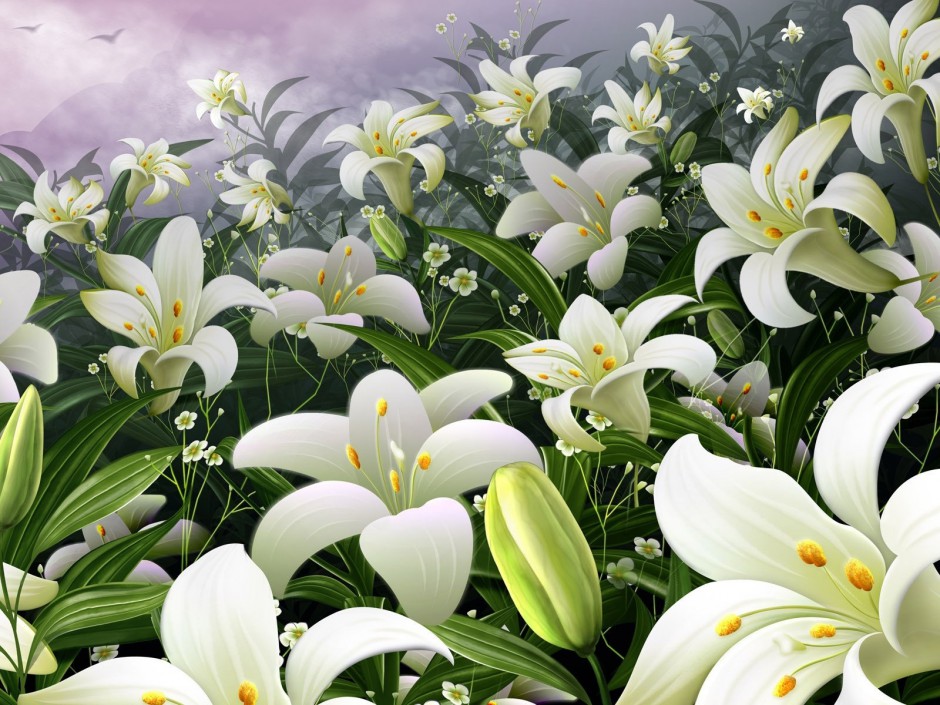 清新百合花精美桌面壁纸