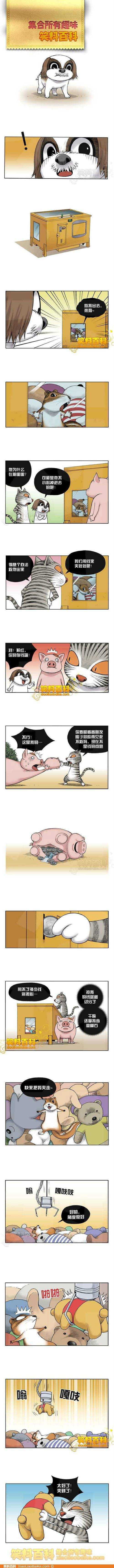 邪恶漫画爆笑囧图第284刊：多谢师姐