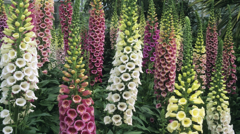 梦幻风景精美浪漫高清壁纸推荐