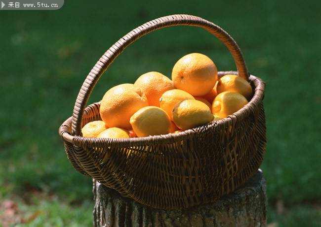 一篮子新鲜的橙子图片