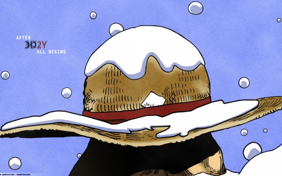 海贼王动漫美女本子高清图集