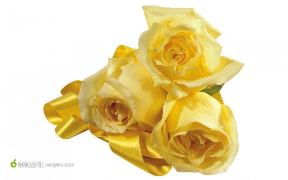楚楚动人的黄玫瑰高清图片素材