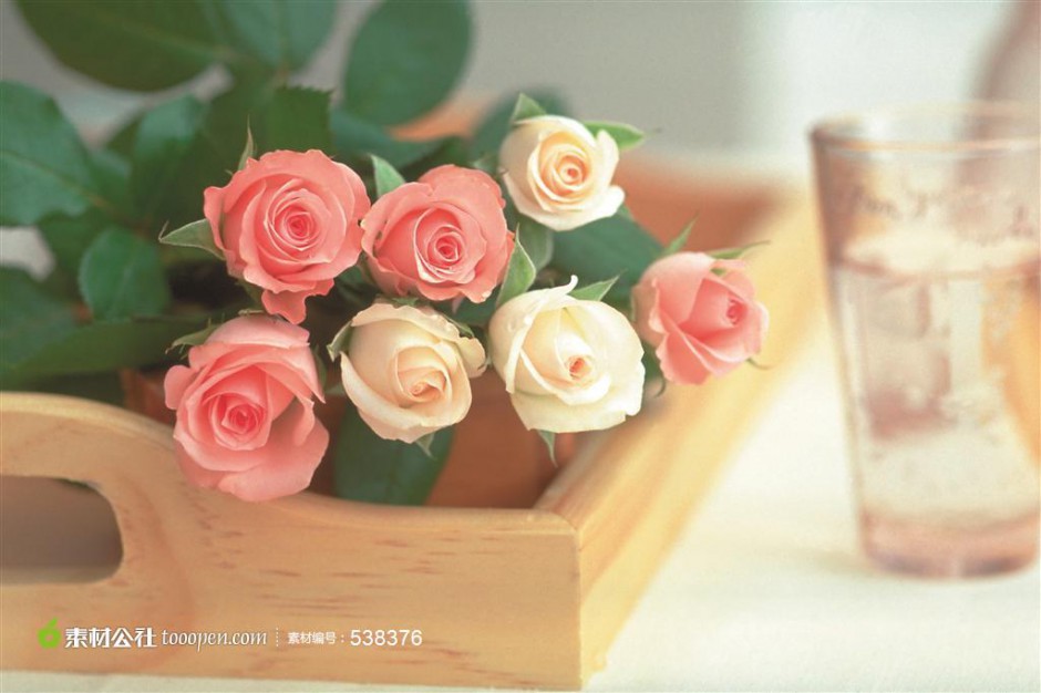 木盒上的玫瑰花唯美图片