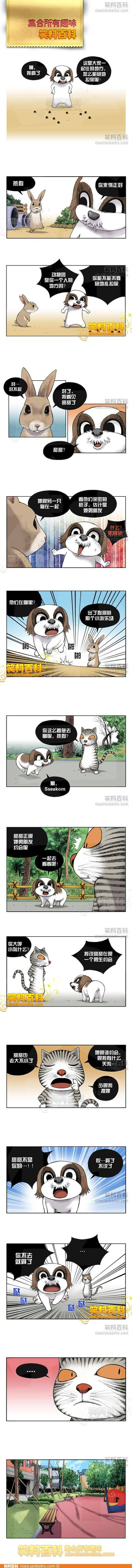 邪恶漫画爆笑囧图第252刊：习惯性的运动员