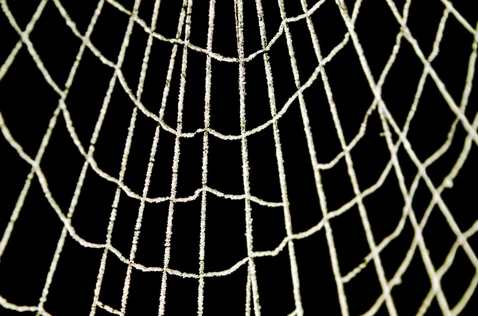 高清晶莹冰冻的蜘蛛网图片