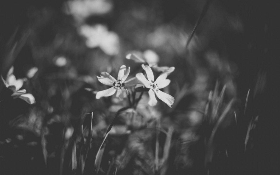 桌面壁纸1366x768 高清 黑白非主流美女大全