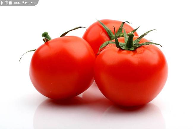 创意番茄植物图片