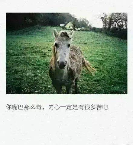 图片大全非主流伤感带字女生