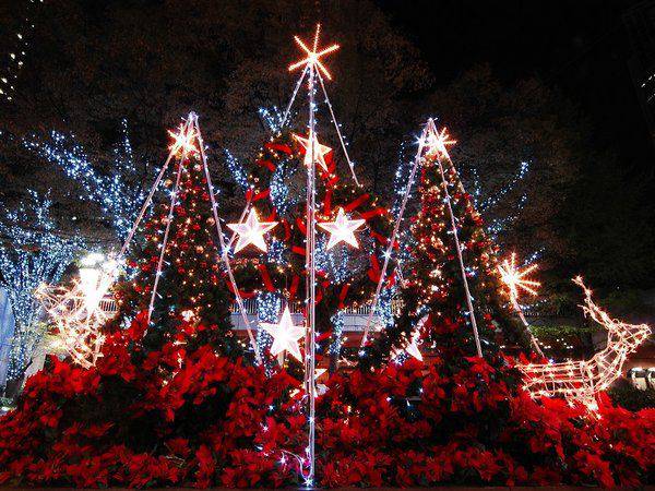 圣诞节唯美浪漫意境图片