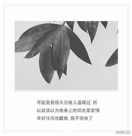 带字伤感图片女生黑白 痛而不言 笑而不语