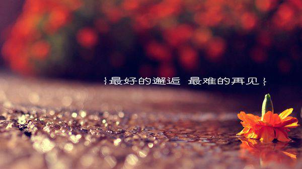 带字风景图片大全唯美爱情图片