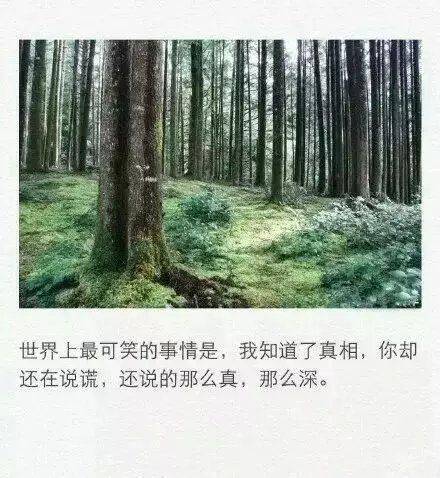 图片大全非主流伤感带字女生