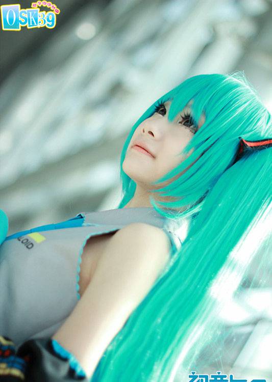 樱花初音图片cos引爆眼球