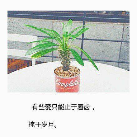 图片大全非主流伤感带字女生