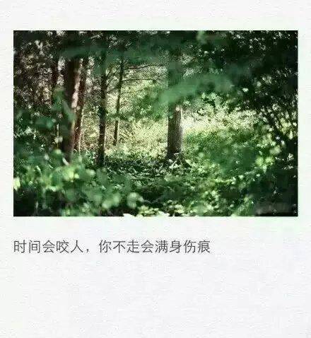 图片大全非主流伤感带字女生