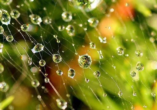 静静听雨伤感唯美意境图