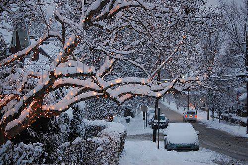 意境唯美雪景QQ秀图片