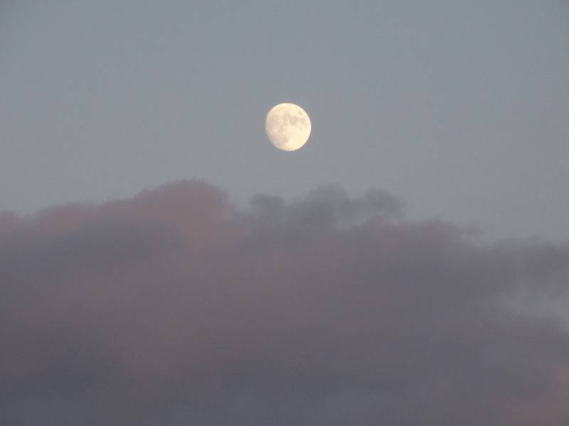 晚上朦胧的月亮风景图片
