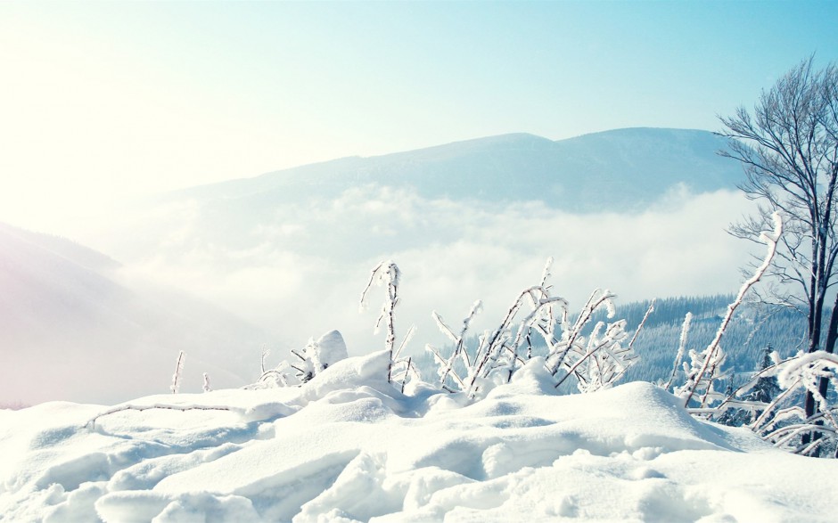 拉萨的冬天雪景风景图片